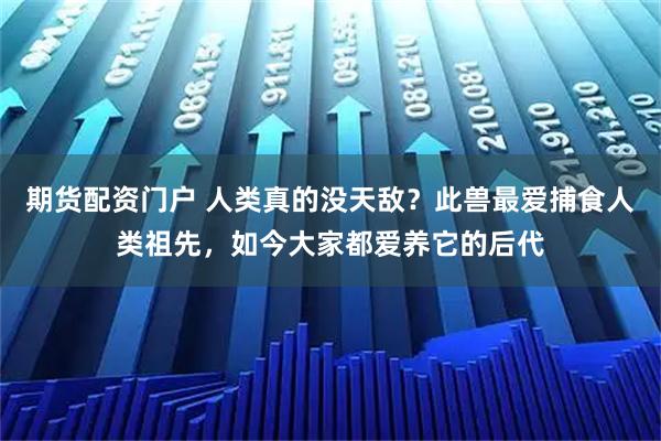 期货配资门户 人类真的没天敌？此兽最爱捕食人类祖先，如今大家都爱养它的后代