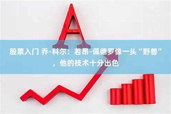股票入门 乔-科尔：若昂-佩德罗像一头“野兽”，他的技术十分出色